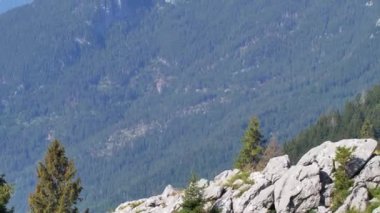 Slovenya 'nın Rombon tepesinden görüntü. Julian Alplerinin güzel manzarası.