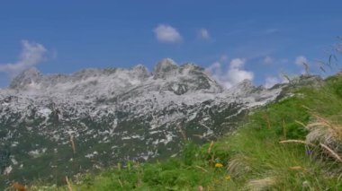 Slovenya 'nın Rombon tepesinden görüntü. Julian Alplerinin güzel manzarası.