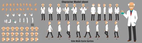 Doctor Character Model Sheetwith Walk Cycle Animation Sequence — Vector de stock