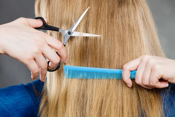 Abholzen Und Scheren Konzept Blonde Frau Schneidet Und Kämmt Ihr — Stockfoto