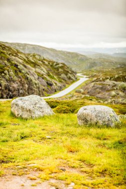 Rogaland ilçesinde bulunan yaz Norveç Dağları çalışan Lysevegen yol. Güzel manzara. Seyahat ve Turizm.