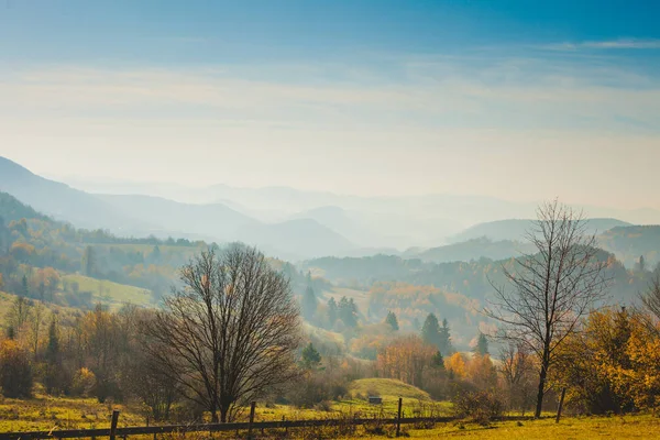 Outono Queda Nevoeiro Montanhas Paisagem Eslováquia Tatras Cores Outonais Árvores — Fotografia de Stock