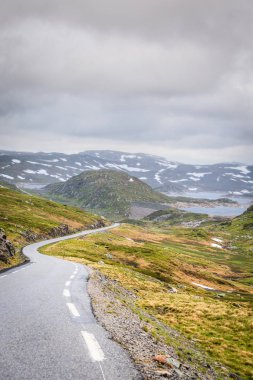 Rogaland ilçesinde bulunan yaz Norveç Dağları çalışan Lysevegen yol. Güzel manzara. Seyahat ve Turizm.