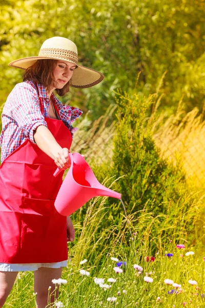 Berkebun Wanita Dewasa Yang Bekerja Kebun Belakang Rumahnya Menyiram Bunga — Stok Foto