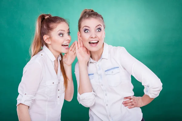 Young Woman Telling Her Friend Some Secrets Two Women Talking — Stock Photo, Image