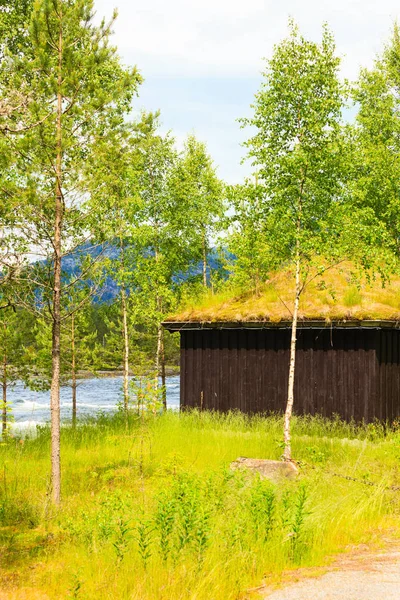 Norvég Tipikus Vidéki Ház Fűvel Tetőn — Stock Fotó