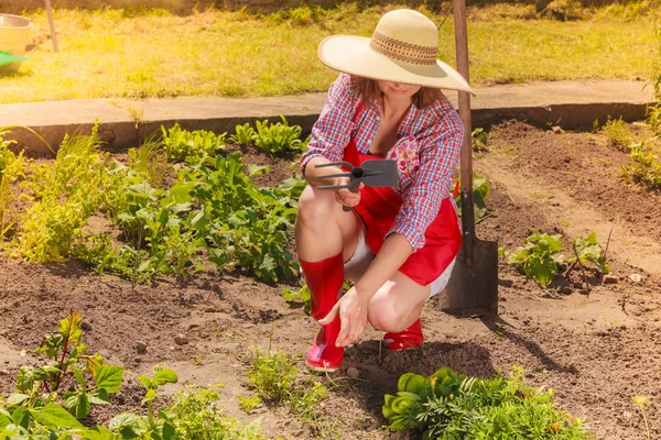 Wanita Dewasa Mengenakan Topi Sepatu Karet Merah Dengan Alat Berkebun — Stok Foto