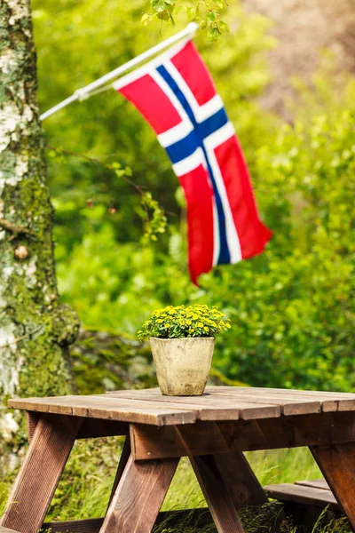 Norwegian Flag Picnic Site Wooden Table Benches Outdoor Green Forest — Stock Photo, Image