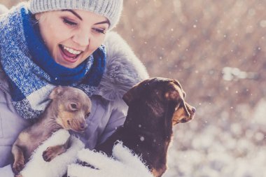 Genç bir kadın kışın eğleniyor. Kar yağarken iki küçük safkan köpek yavrusuyla oynayan dişi.