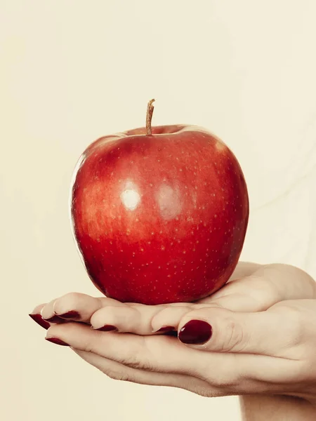 ダイエットと痩身 健康食品 果物概念 大きな赤いリンゴを持つ女性の手 — ストック写真
