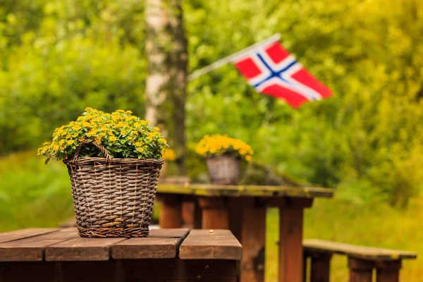 Norska Flaggan Och Picknick Plats Träbord Och Bänkar Utomhus Grön — Stockfoto