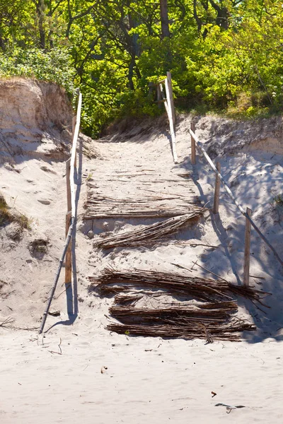 Old Broken Entrance Beach Made Wooden Sticks Outdoor Shot Sunny — Stock Photo, Image