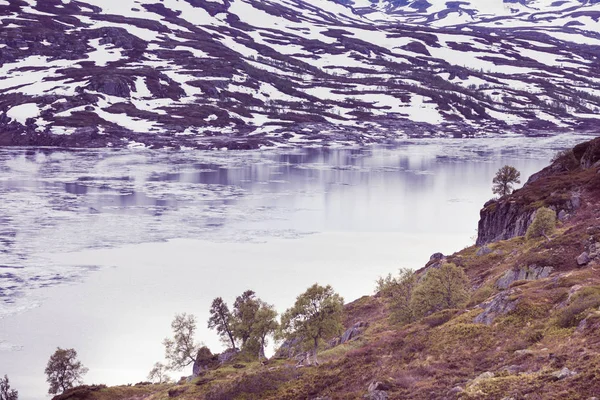 Norvegia Area Escursionistica Paesaggio Montano Panoramico Colline Lago Ghiacciato — Foto Stock