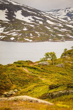 Hardangervidda'da, Europe en yüksek dağlık yayla günbatımı manzara.