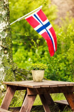 Norveç bayrağı ve piknik sitesi ahşap masa ve yeşil orman park, Europe açık banklar.