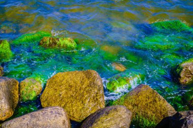 Yakın kaya taş deniz ya da okyanus mavi su kadar ayrıntılı. Doğa ayrıntıları kavramı.