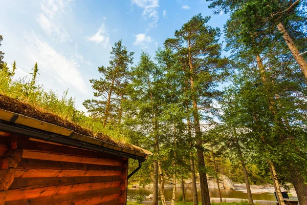 Norskt Typiskt Hus Landet Med Gräs Taket — Stockfoto