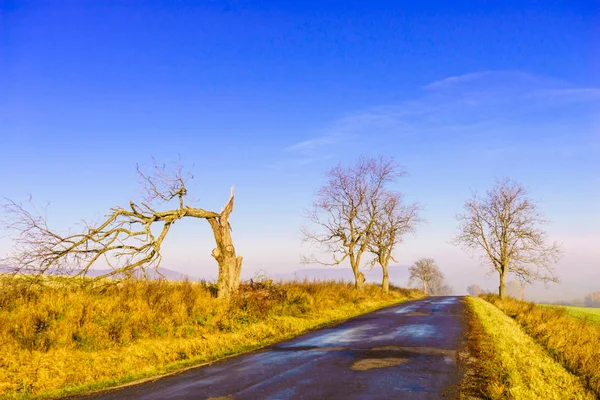 Paisaje País Asfalto Carretera Otoño Día Soleado — Foto de Stock