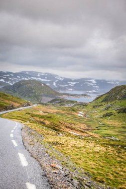 Rogaland ilçesinde bulunan yaz Norveç Dağları çalışan Lysevegen yol. Güzel manzara. Seyahat ve Turizm.