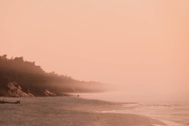 Kıyı şeridi manzara güzel vurdu. Sabah sisli hava, sütlü turuncu renkleri sırasında Beach.