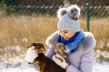 Genç bir kadın kışın eğleniyor. Kar yağarken iki küçük safkan köpek yavrusuyla oynayan dişi.