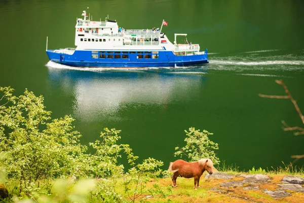 Лошадь Луговом Поле Берегу Фьорда Спокойная Сельская Местность Корабль Воде — стоковое фото