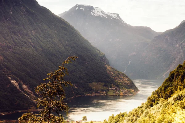 Vacaciones Turísticas Viajes Fantástica Vista Sobre Geirangerfjord Verdes Montañas Paisaje — Foto de Stock