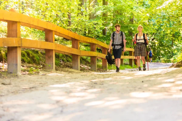 旅游活动的生活方式 小两口背包徒步旅行在森林通路 — 图库照片