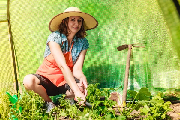 Petani Wanita Dewasa Dengan Alat Berkebun Yang Bekerja Kebun Rumahnya — Stok Foto