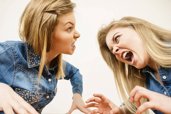 Two Women Having Argue Mocking Being Mad Each Other Female — Stock Photo, Image