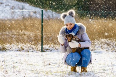 Genç bir kadın kışın eğleniyor. Kar yağarken iki küçük safkan köpek yavrusuyla oynayan dişi.