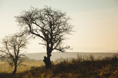 Sonbahar manzara. Ülke alan sahne sonbahar günü