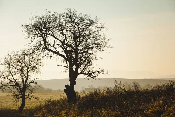 Fall landscape. Country field scenery on autumn day