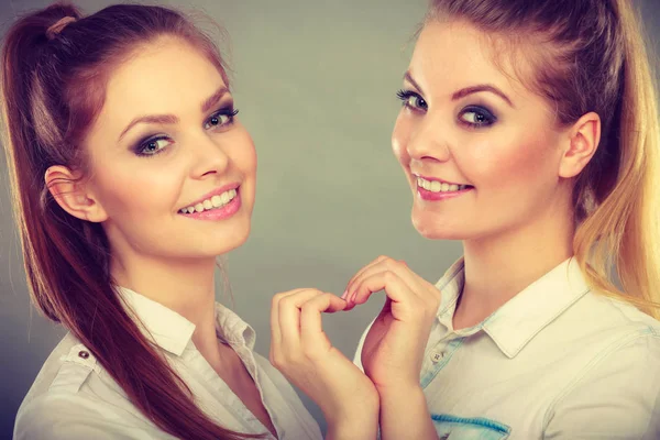 Family and relations. Love affection concept. Two lovely attractive women playing together. Charming playful sisters have fun smiling. Girls making heart sign symbol with hands