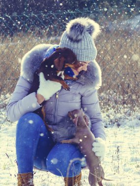 Genç bir kadın kışın eğleniyor. Kar yağarken iki küçük safkan köpek yavrusuyla oynayan dişi.