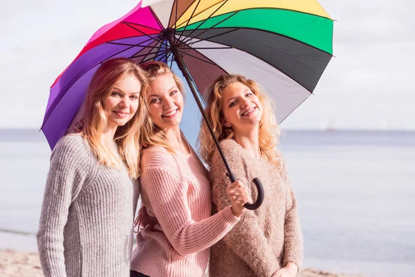아래예쁜 친구들이 유행하는 여성들이 스웨터를 야외에서 시간을 보내는 — 스톡 사진