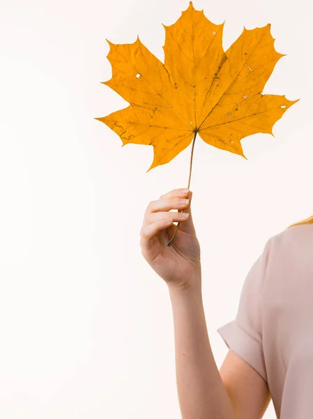 Concepto Decoración Natural Otoñal Mujer Sosteniendo Hoja Otoño Estudio Sobre —  Fotos de Stock