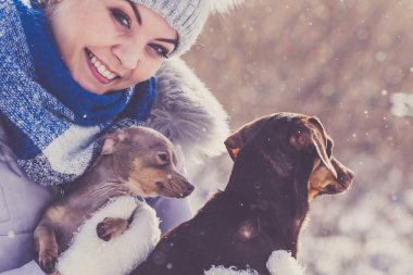 Genç bir kadın kışın eğleniyor. Kar yağarken iki küçük safkan köpek yavrusuyla oynayan dişi.