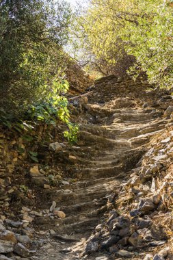 Doğal merdiven bir park veya bahçe taştan yapılmış. Doğa düzenlenmesi