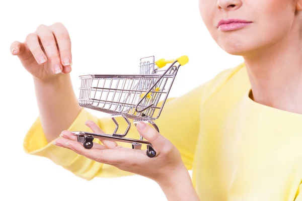 Dükkanda Müşteri Satın Alıyor Küçük Bir Alışveriş Arabası Taşıyan Bir — Stok fotoğraf