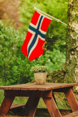 Norveç bayrağı ve piknik sitesi ahşap masa ve yeşil orman park, Europe açık banklar.