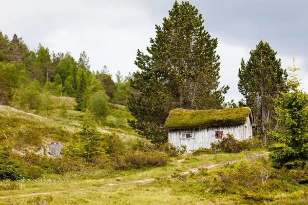 Old Wooden Cabin Hytte Grass Roof Norwegian Green Mountains Beautiful — Stock Photo, Image