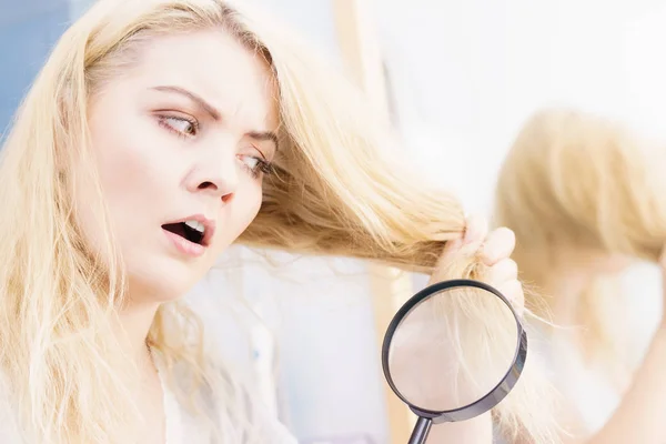 Спліт Закінчує Проблему Сухий Ефект Концепцію Догляду Волоссям Нещасна Блондинка — стокове фото