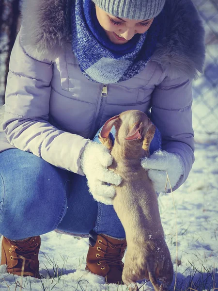 Mujer Joven Divirtiéndose Durante Invierno Hembra Jugando Con Cachorro Pequeño —  Fotos de Stock