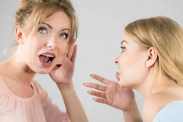 Young Woman Telling Her Friend Some Secrets Two Women Talking — Stock Photo, Image