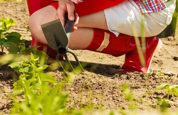 Mujer Primer Plano Con Herramienta Jardinería Trabajando Jardín Aire Libre — Foto de Stock