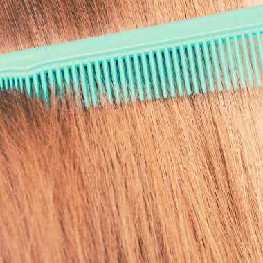 Tarama ve kavram fırçalama. Rutin günlük hijyen. Ayrıntı yeşil kırmızı smoothy sağlıklı kadın saç tarak, yakın çekim. 