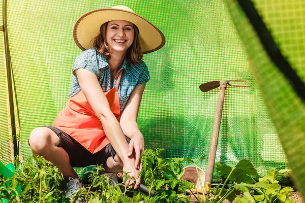 Petani Wanita Dewasa Dengan Alat Berkebun Yang Bekerja Kebun Rumahnya — Stok Foto