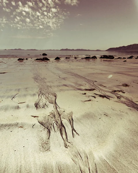 Natursköna Havskusten Gimsoar Och Sandstrand Med Berg Horisonten Nordland County — Stockfoto