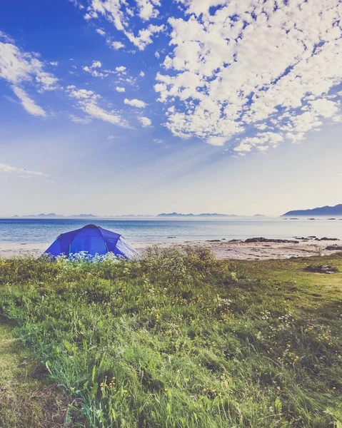 Yazın Deniz Kıyısında Çadır Okyanus Kıyısında Kamp Yapmak Lofoten Takımadaları — Stok fotoğraf